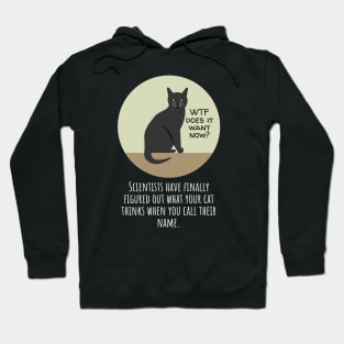 Why Does Your Cat Ignore You When You Call Their Name? Hoodie